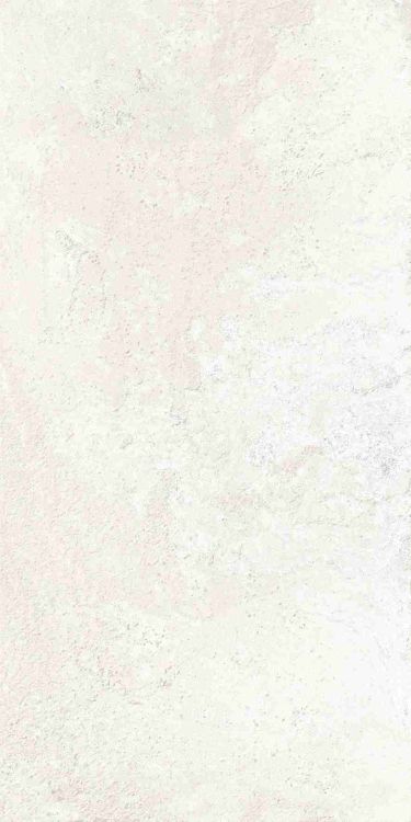Petra Viva Bone Matte 12 x 24